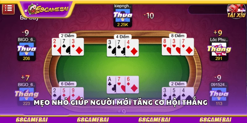 Mẹo nhỏ giúp người mới tăng cơ hội thắng